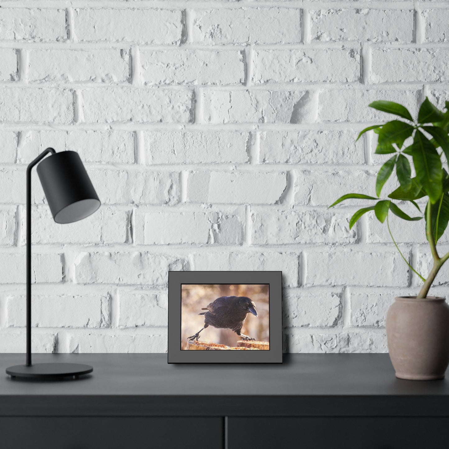 Crow Doing The Splits Framed Print | Nature Photography