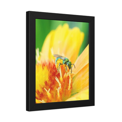 Metallic Green Bee Framed Print | Nature Photography