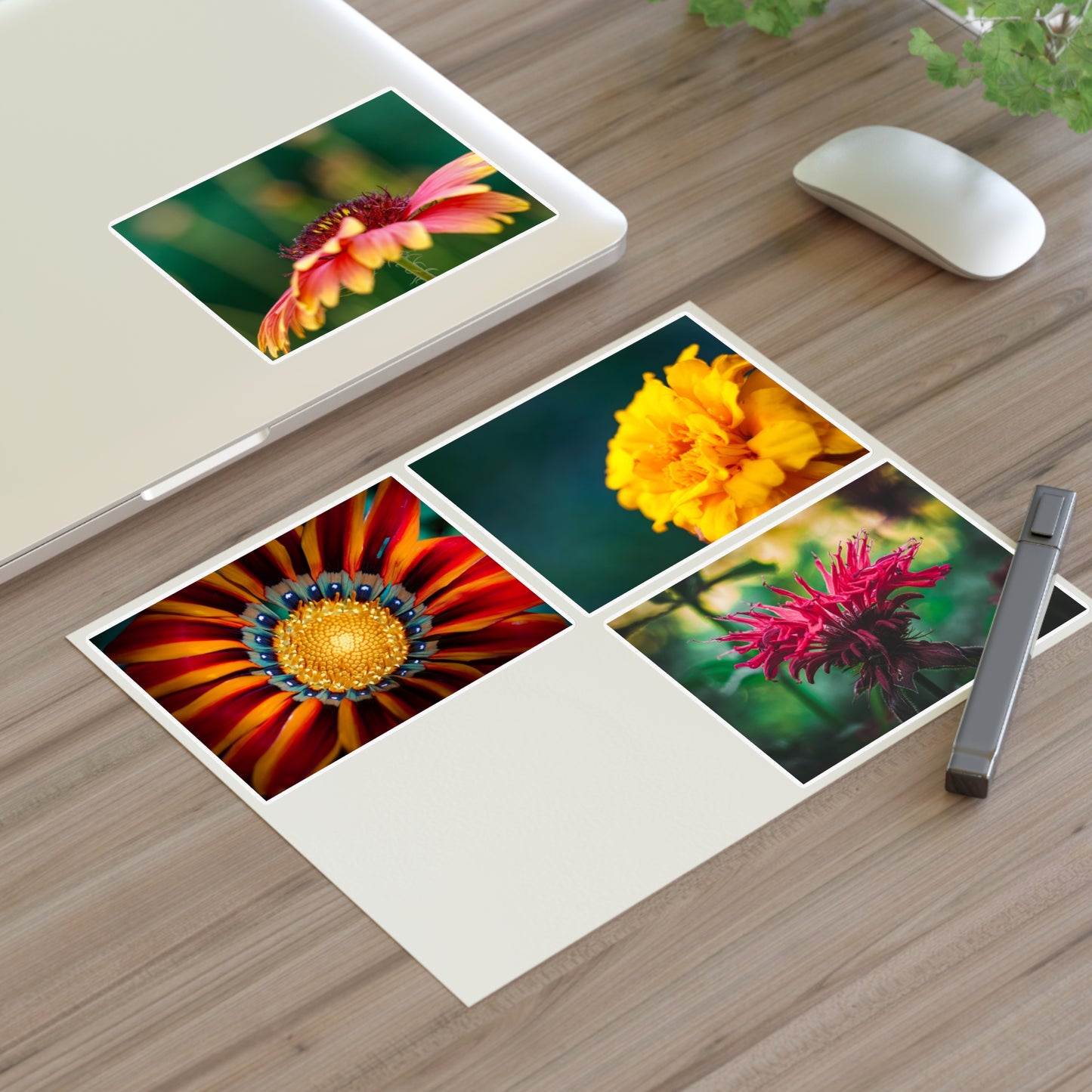 Flower Macro Photo Vinyl Stickers