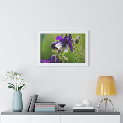 Spring Blooms Framed Matte Print