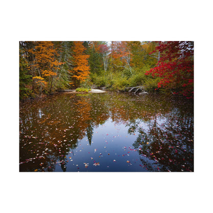 Maine Fall Foliage Waterscape Fine Art Print