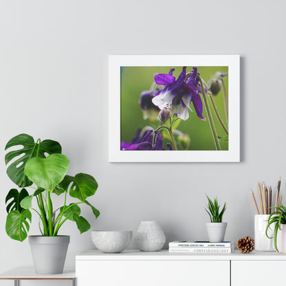 Spring Blooms Framed Matte Print