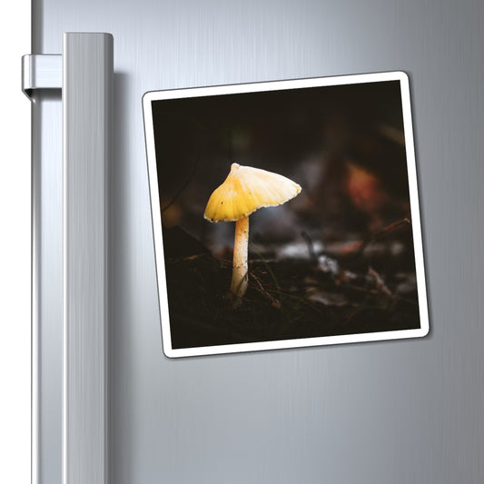 Mystical Magical Mushroomland Magnet