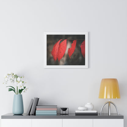 Leaves of Red Framed Matte Print