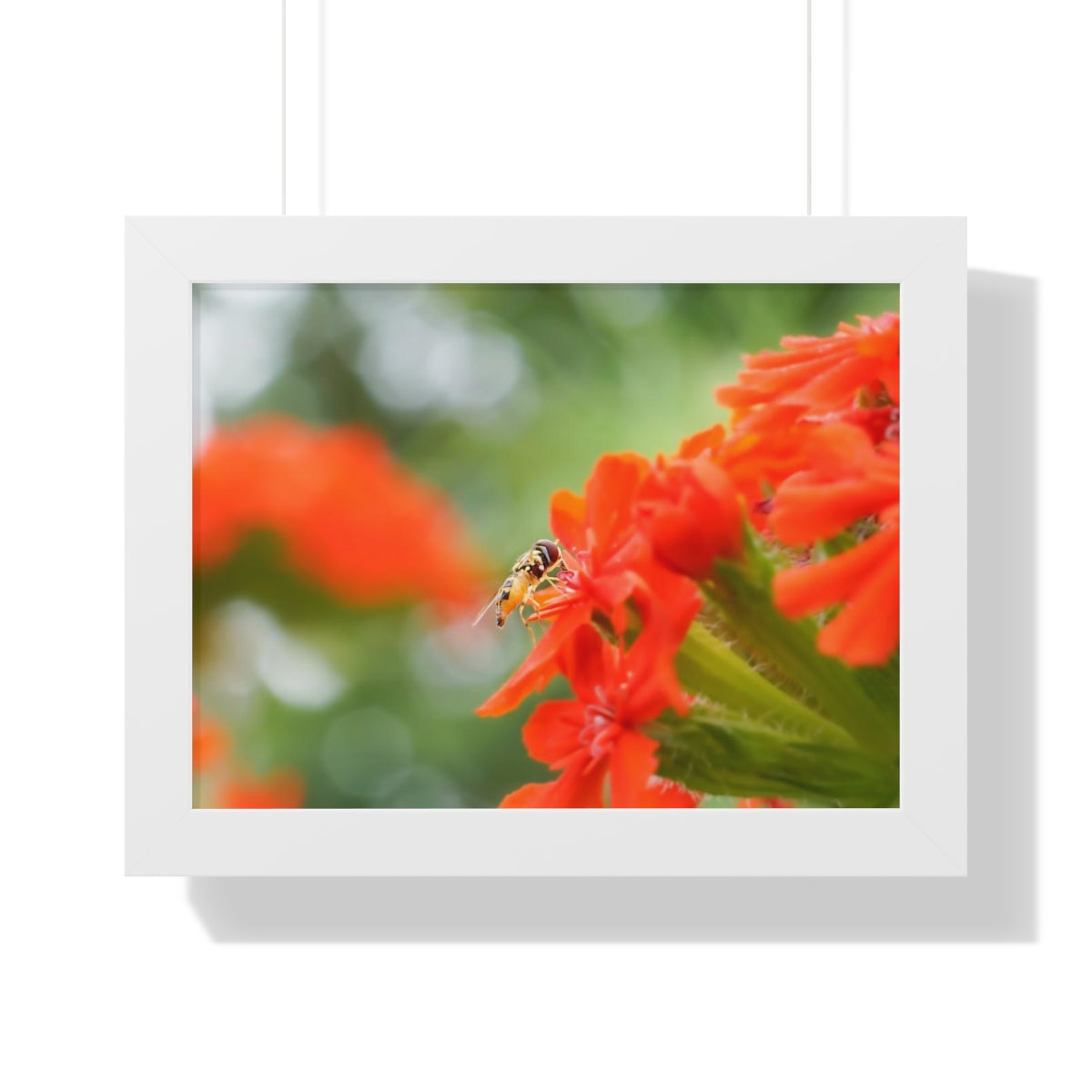 Flower Fly on Red Flowers Framed Matte Print