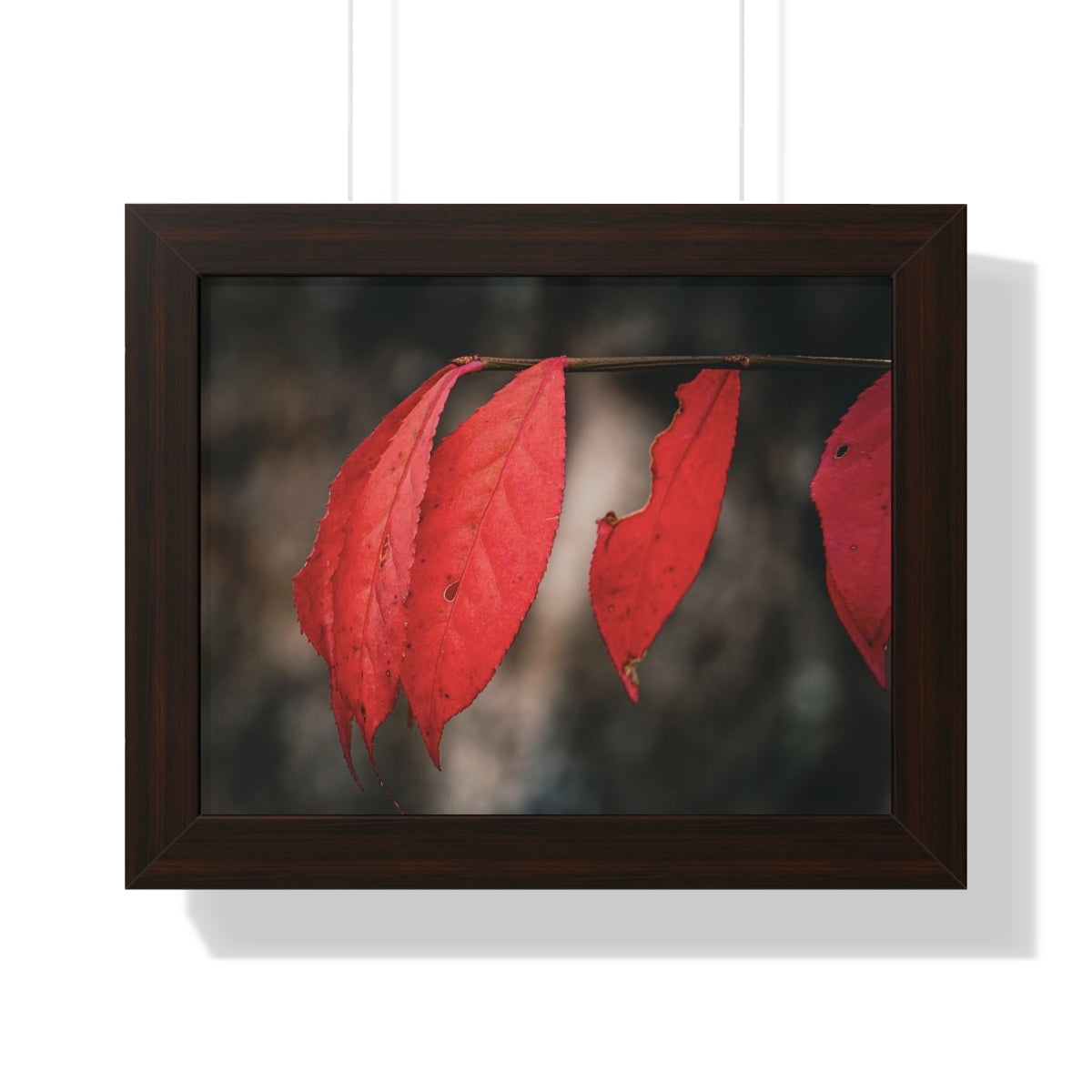 Leaves of Red Framed Matte Print