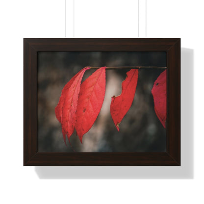 Leaves of Red Framed Matte Print