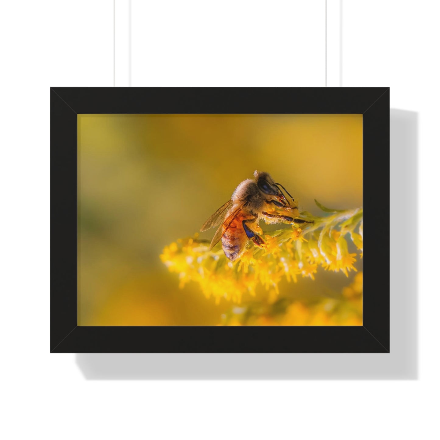 Golden Honey Bee Framed Matte Print