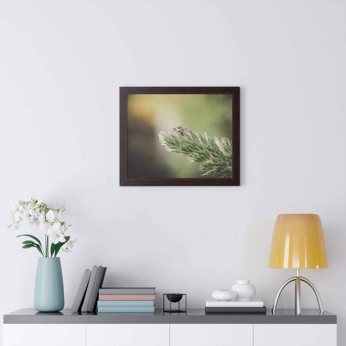 Jumping Spider in Macro Framed Matte Print