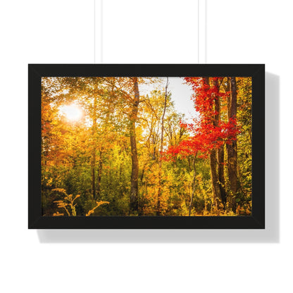 Happy Autumn Sun Framed Matte Print