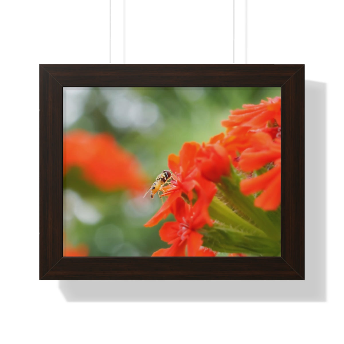 Flower Fly on Red Flowers Framed Matte Print