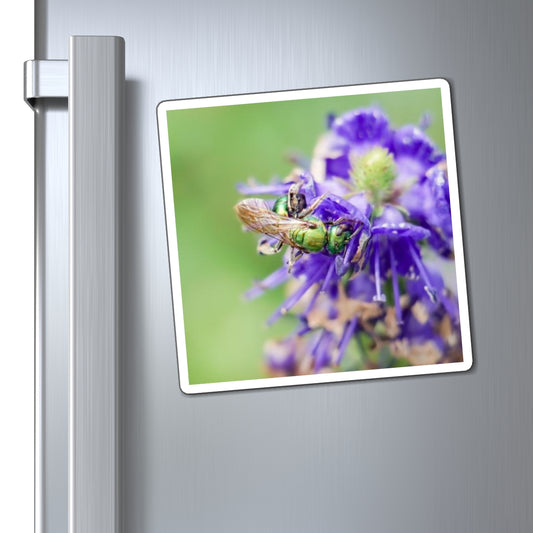 Green Sweat Bee Pollinates Flowers Magnet
