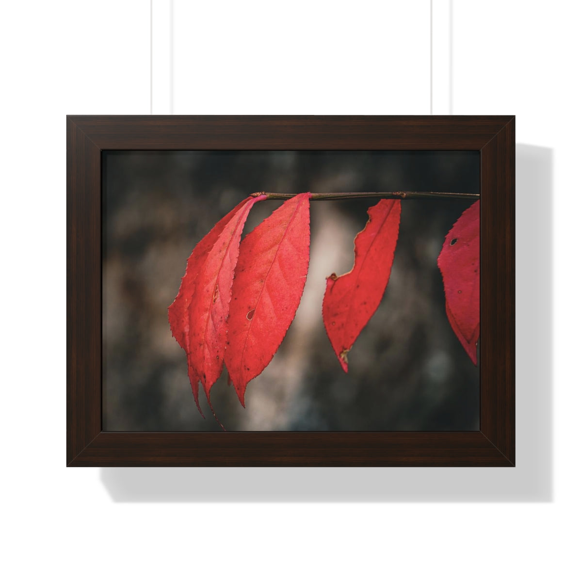 Leaves of Red Framed Matte Print