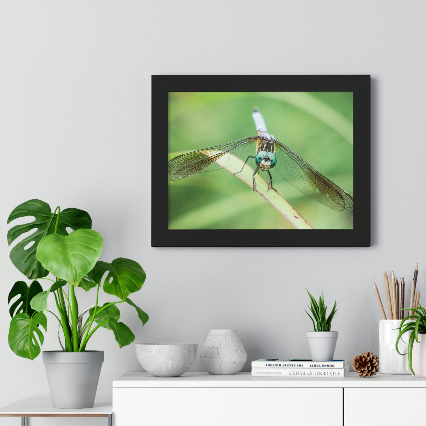 Macro Dragonfly Eyes Framed Matte Print