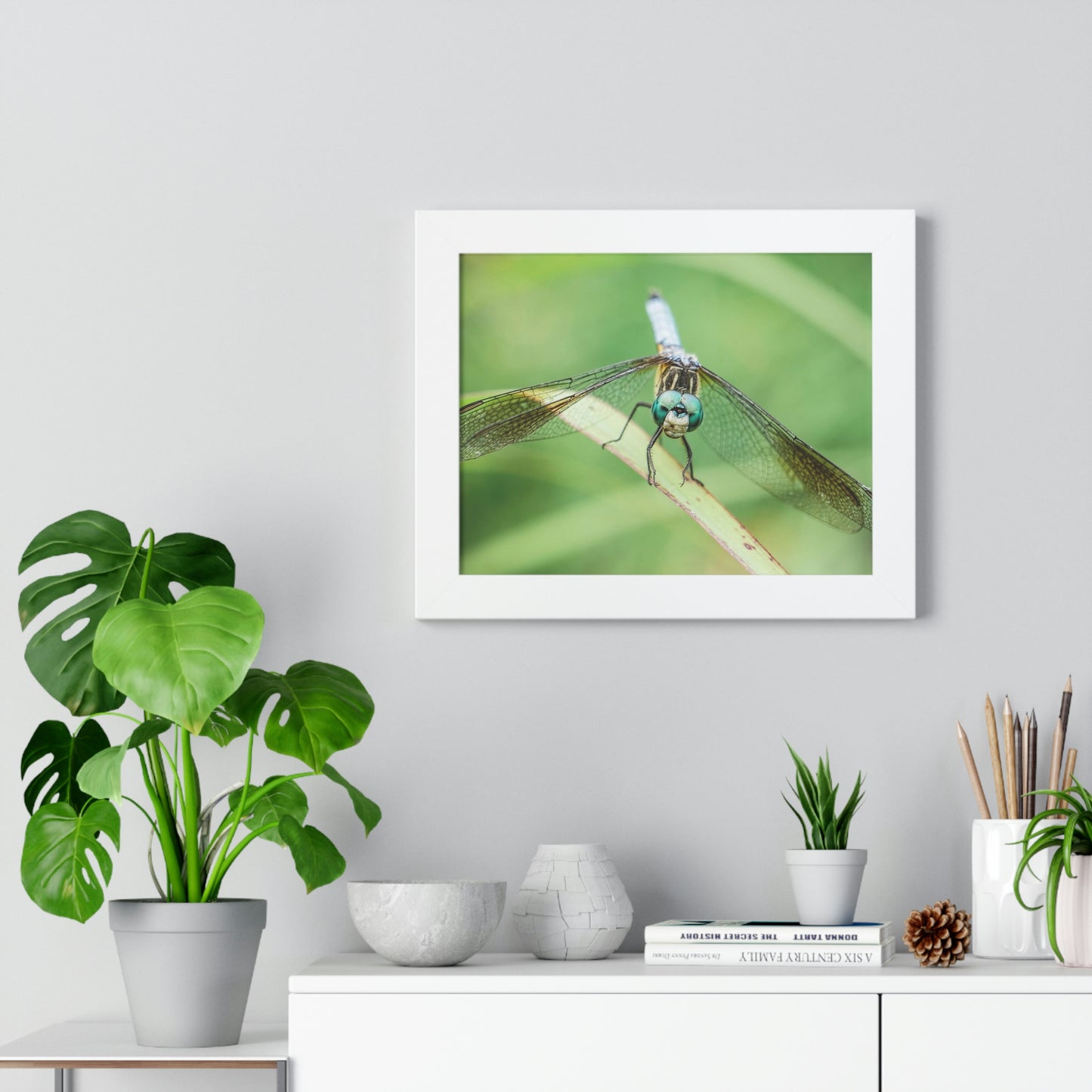 Macro Dragonfly Eyes Framed Matte Print