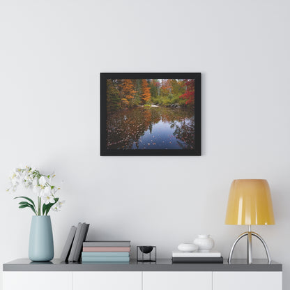 Maine Fall Foliage Waterscape Framed Matte Print