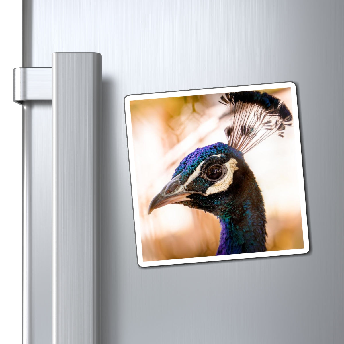 Peculiar Peacock Magnet