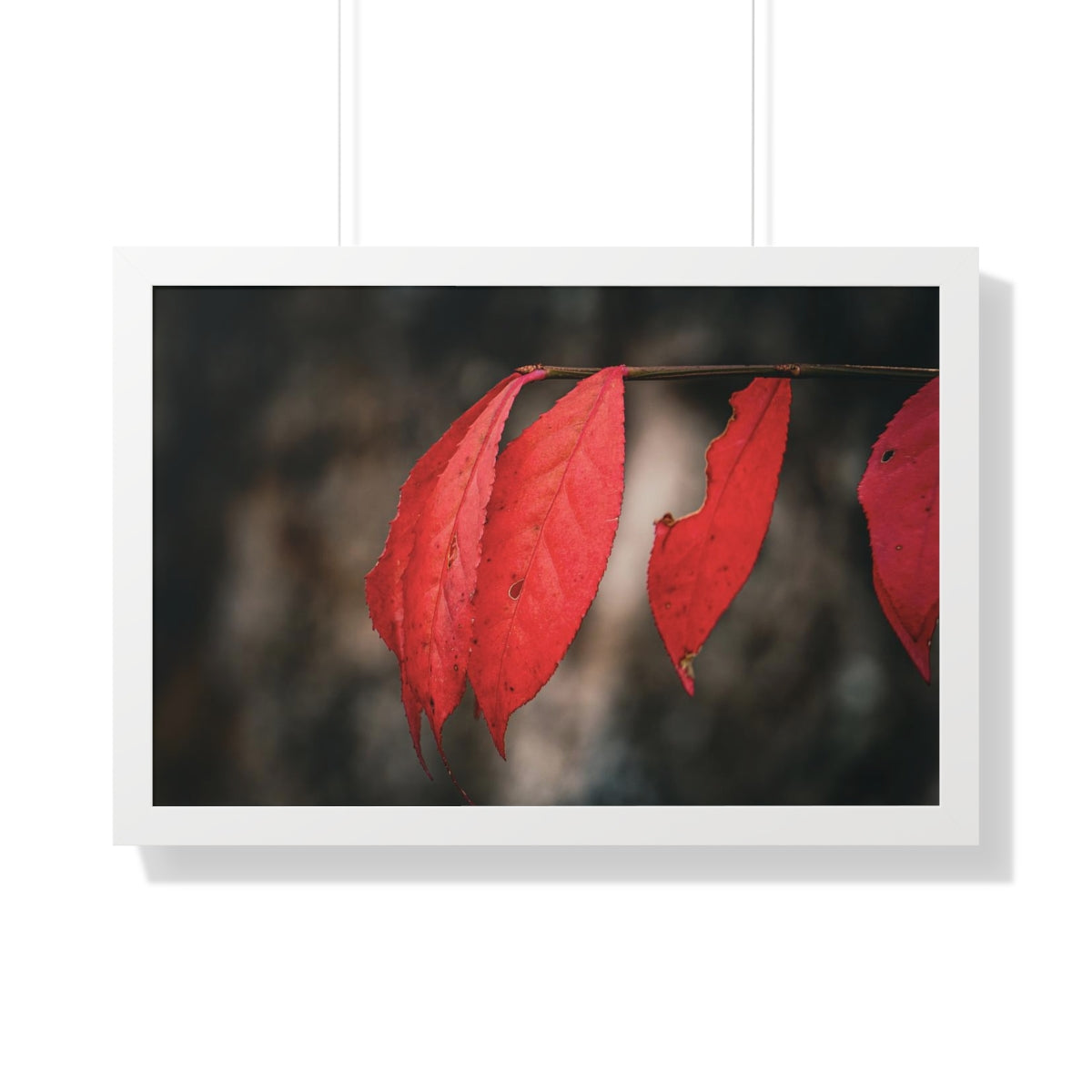 Leaves of Red Framed Matte Print