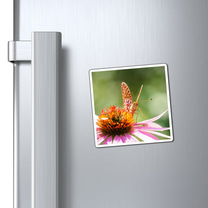 Butterfly Stare Down Magnet