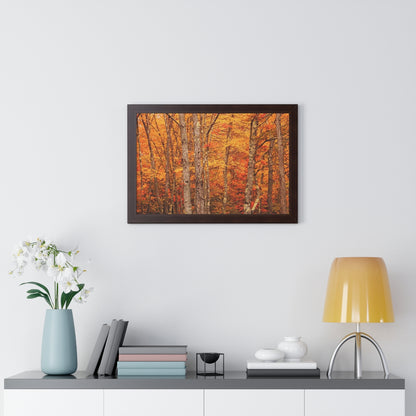 Forest of Autumn Colors Framed Matte Print