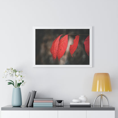 Leaves of Red Framed Matte Print