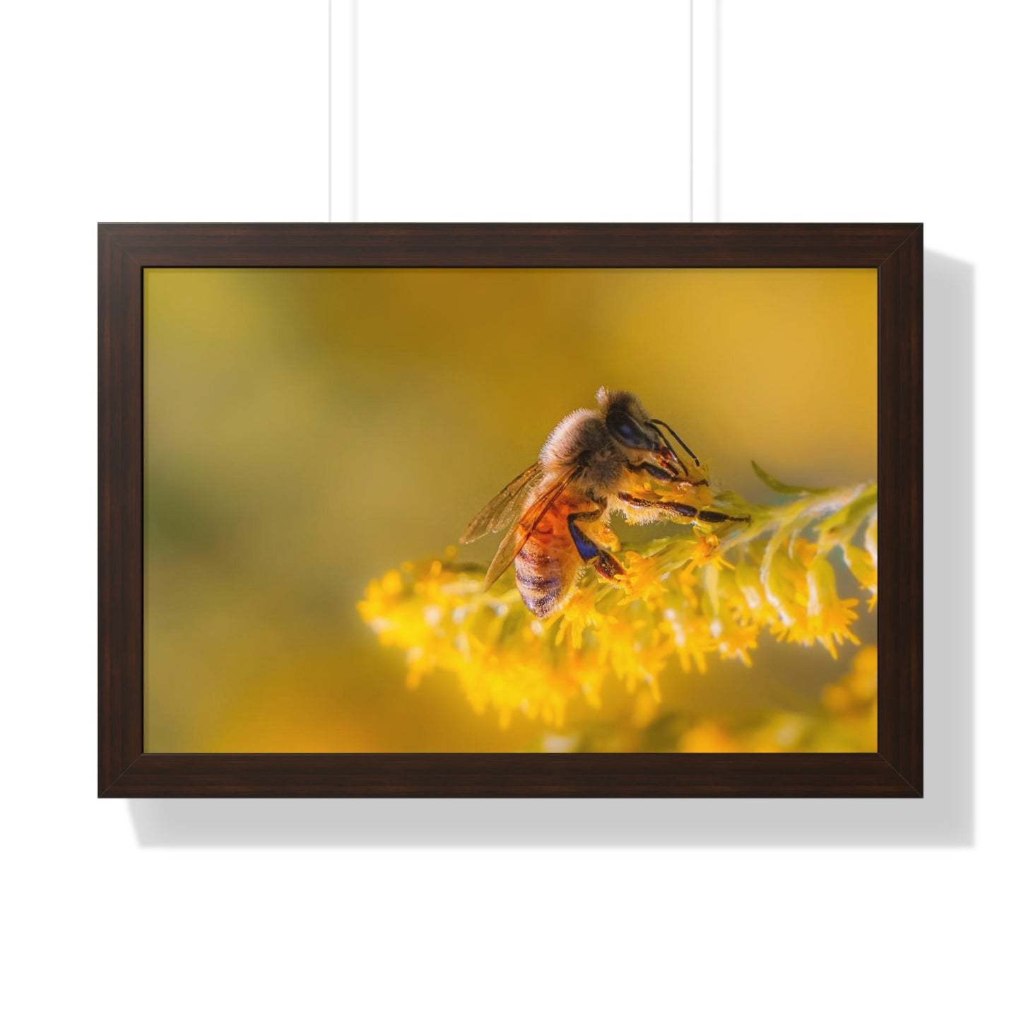 Golden Honey Bee Framed Matte Print