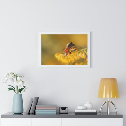 Golden Honey Bee Framed Matte Print