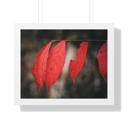 Leaves of Red Framed Matte Print