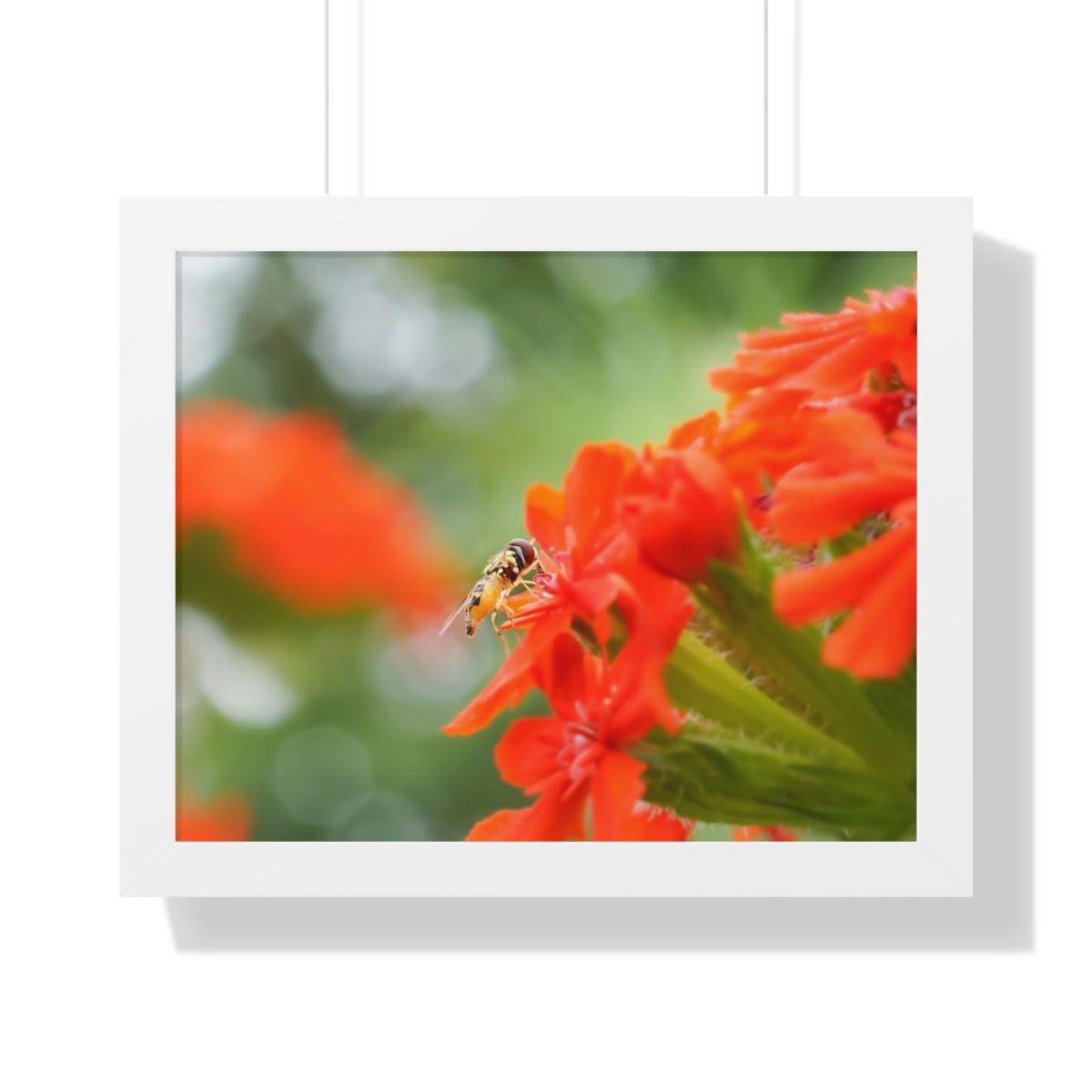 Flower Fly on Red Flowers Framed Matte Print