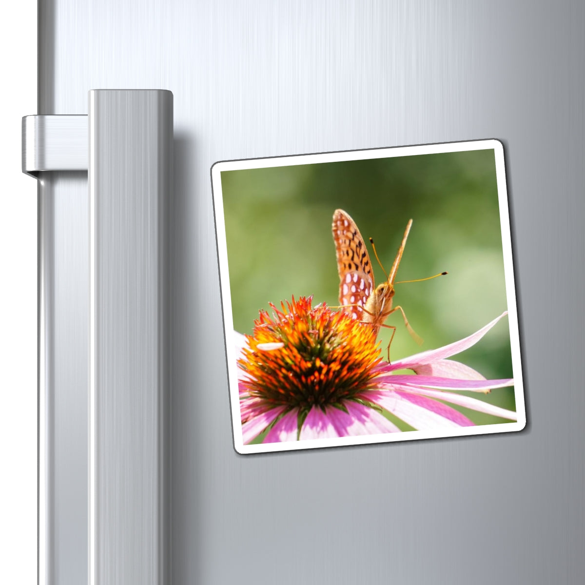 Butterfly Stare Down Magnet