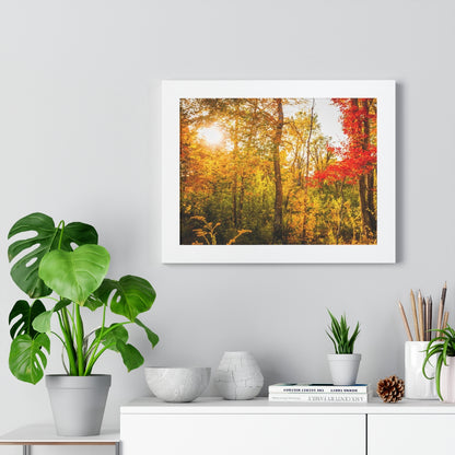 Happy Autumn Sun Framed Matte Print