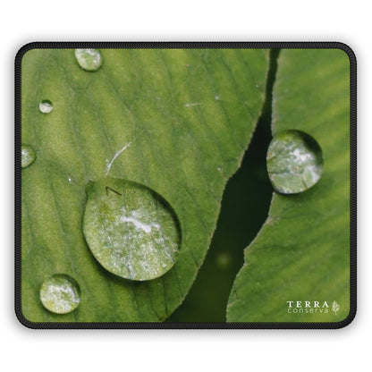 Macro Dewdrop Large Mouse Pad