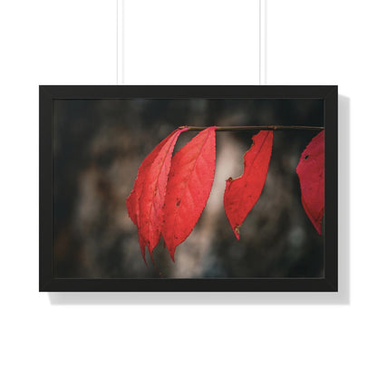 Leaves of Red Framed Matte Print