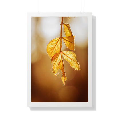 Leaves of Gold Framed Matte Print