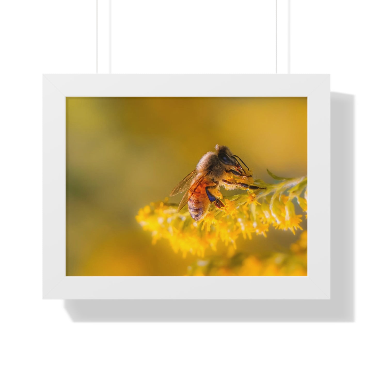 Golden Honey Bee Framed Matte Print