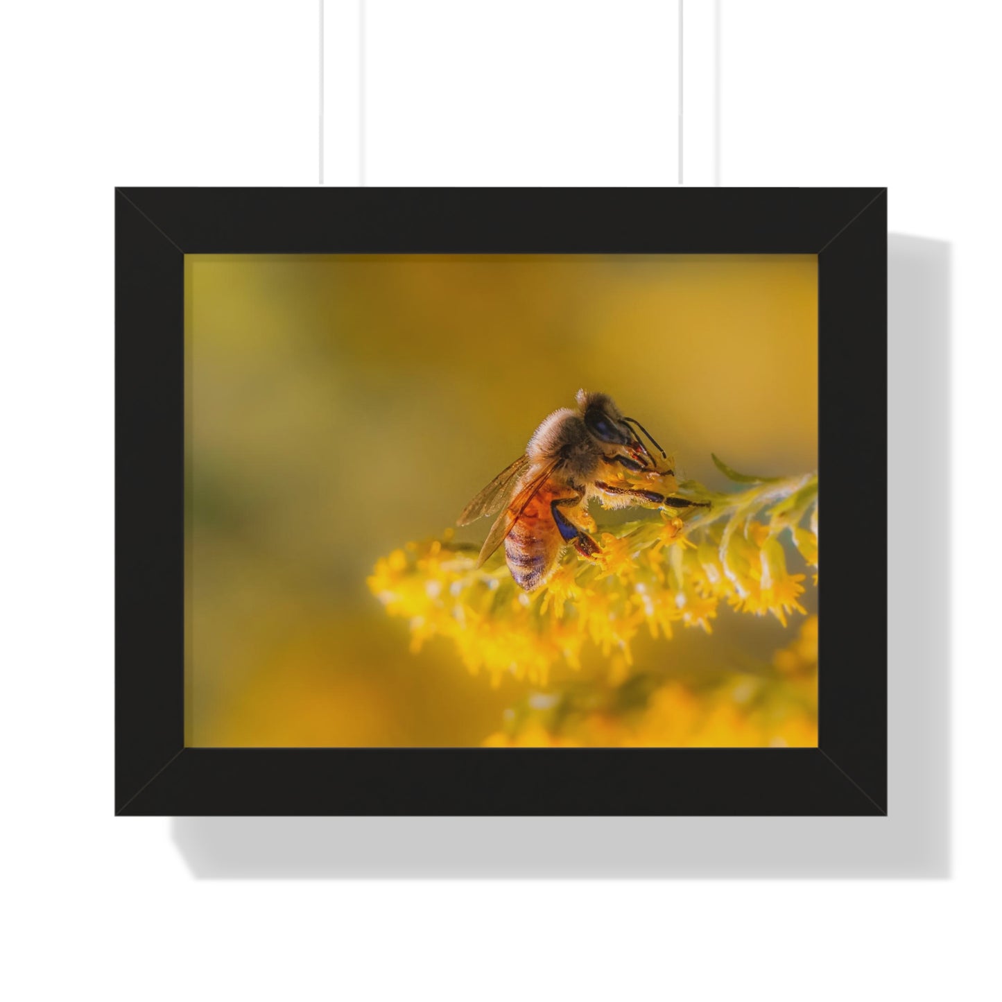 Golden Honey Bee Framed Matte Print