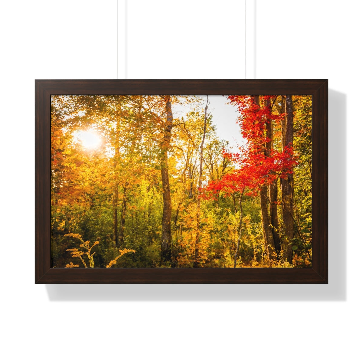 Happy Autumn Sun Framed Matte Print