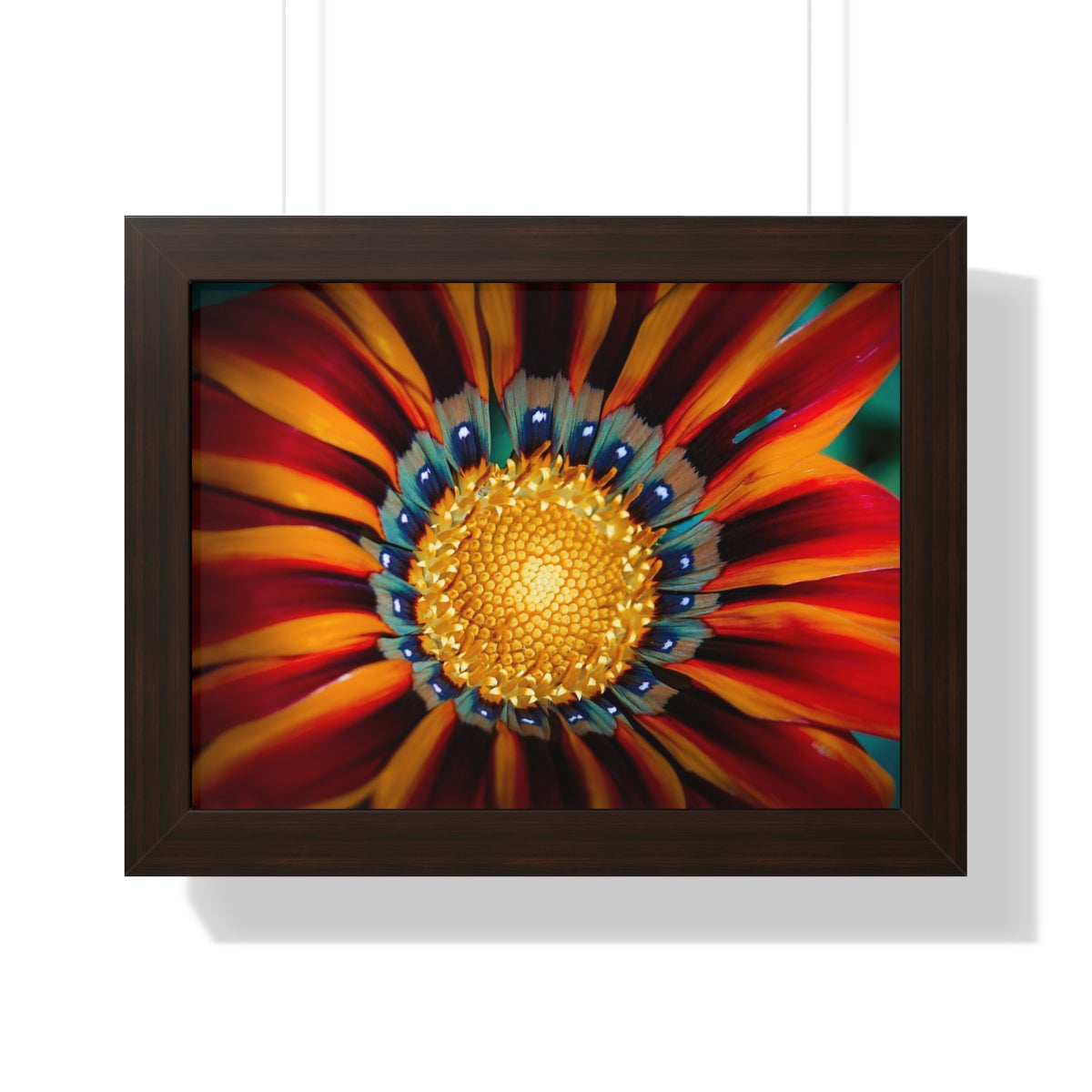 Vibrant Macro Flower Framed Matte Print