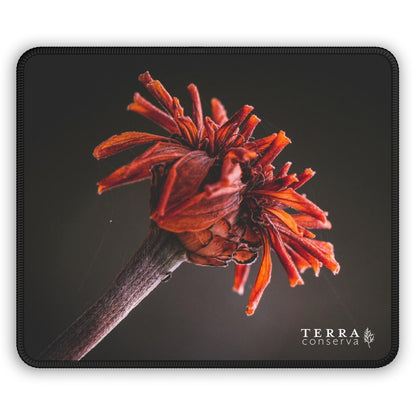 Macro Vibrant Red Orange Flower Large Mouse Pad