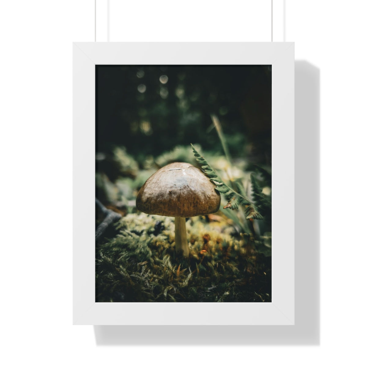 Mossy Mushroom House Framed Matte Print