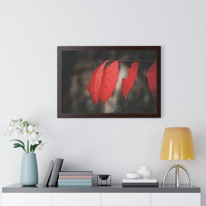 Leaves of Red Framed Matte Print