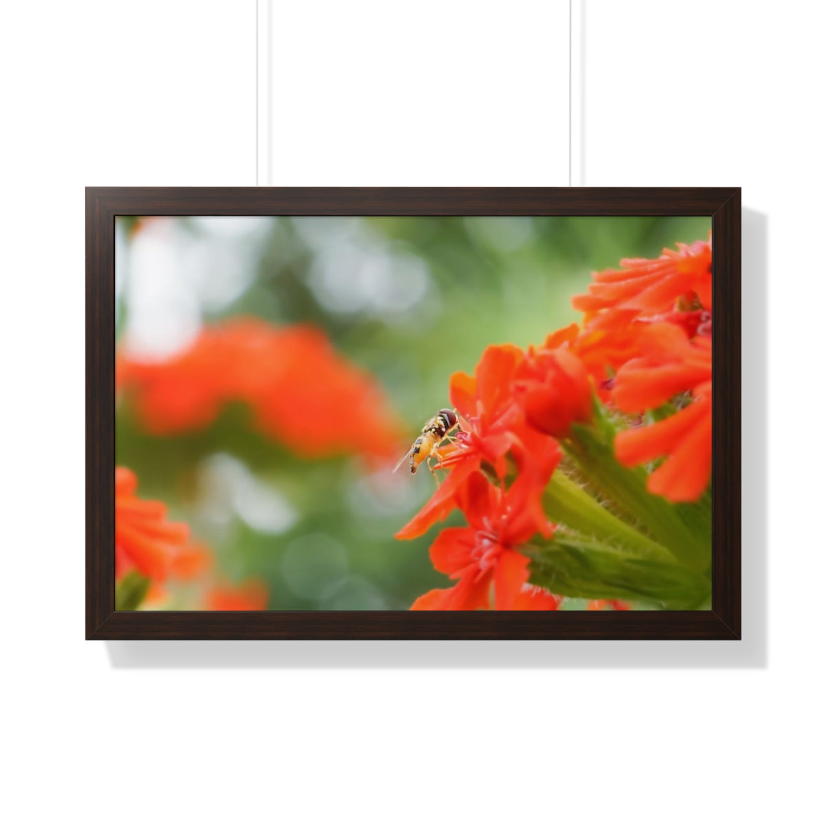 Flower Fly on Red Flowers Framed Matte Print