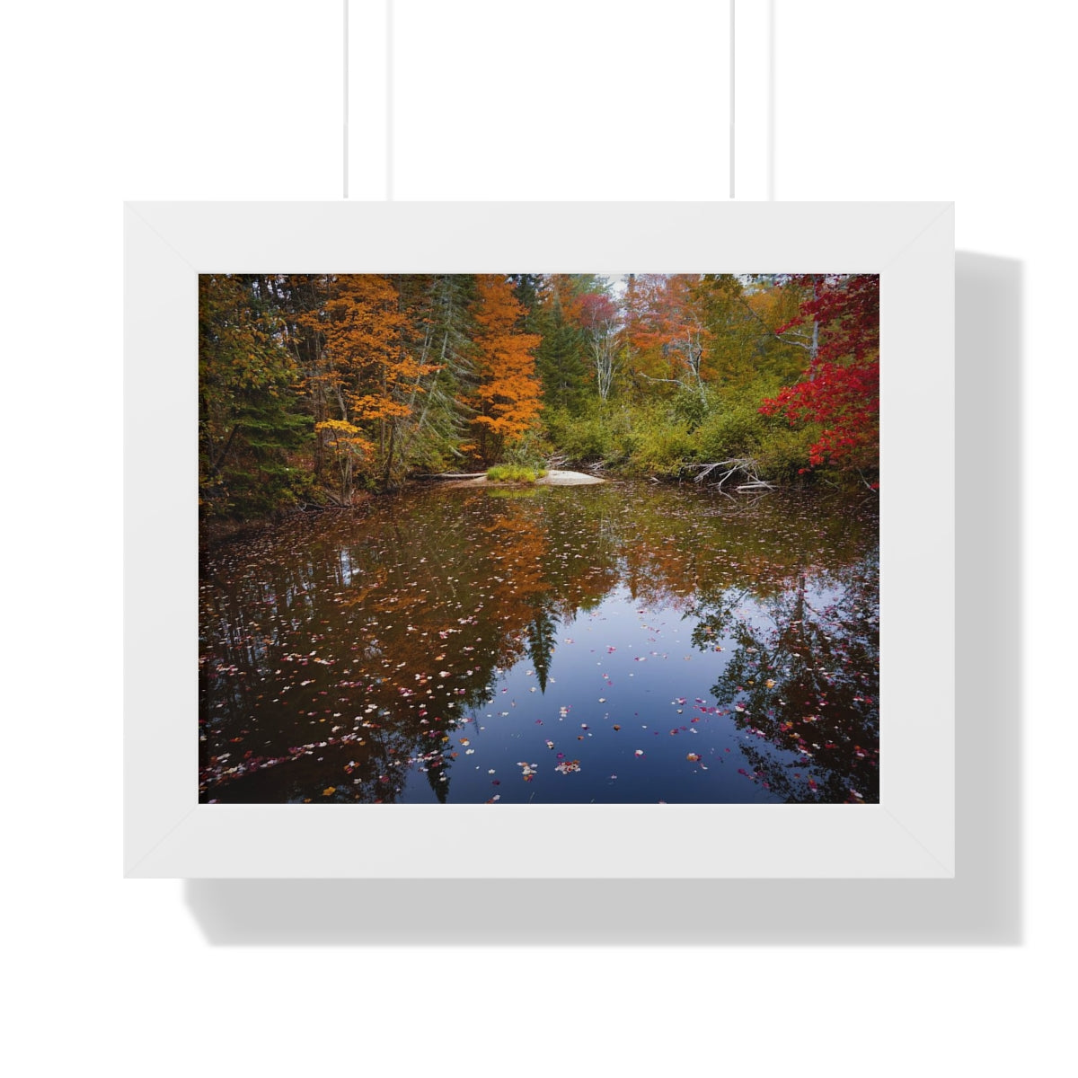 Maine Fall Foliage Waterscape Framed Matte Print