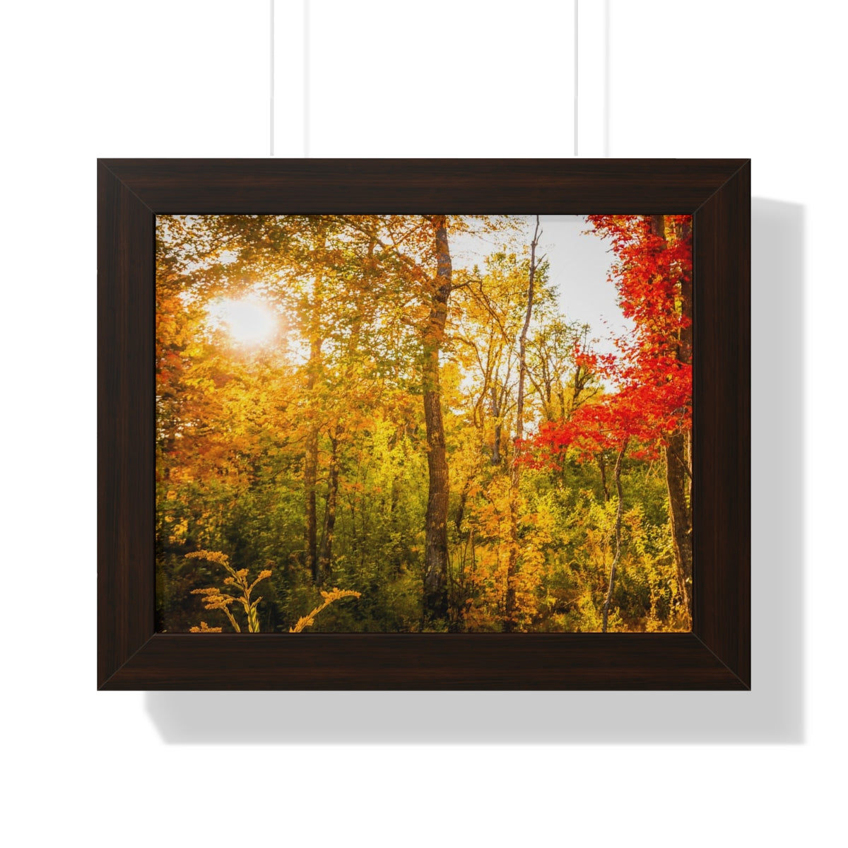 Happy Autumn Sun Framed Matte Print