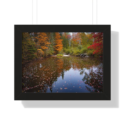 Maine Fall Foliage Waterscape Framed Matte Print