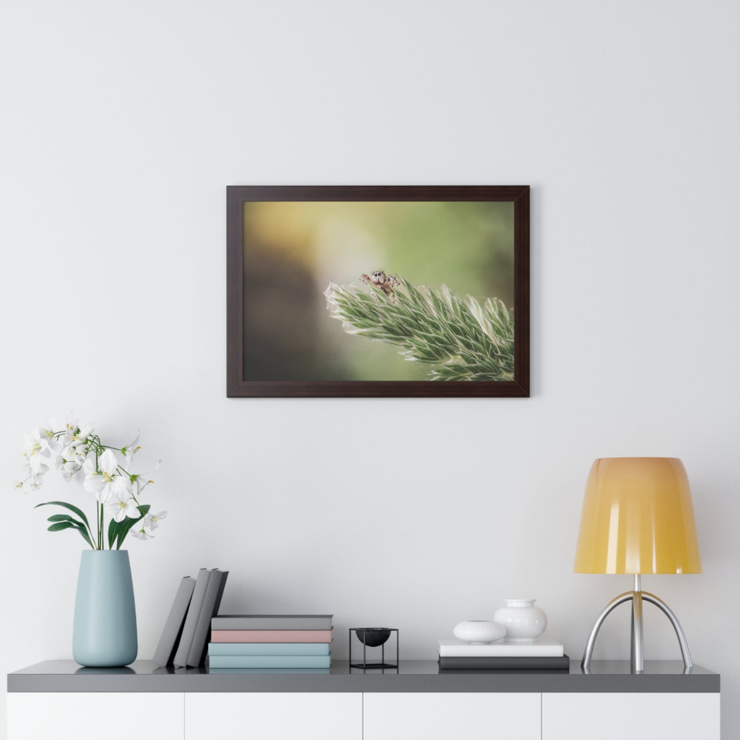 Jumping Spider in Macro Framed Matte Print