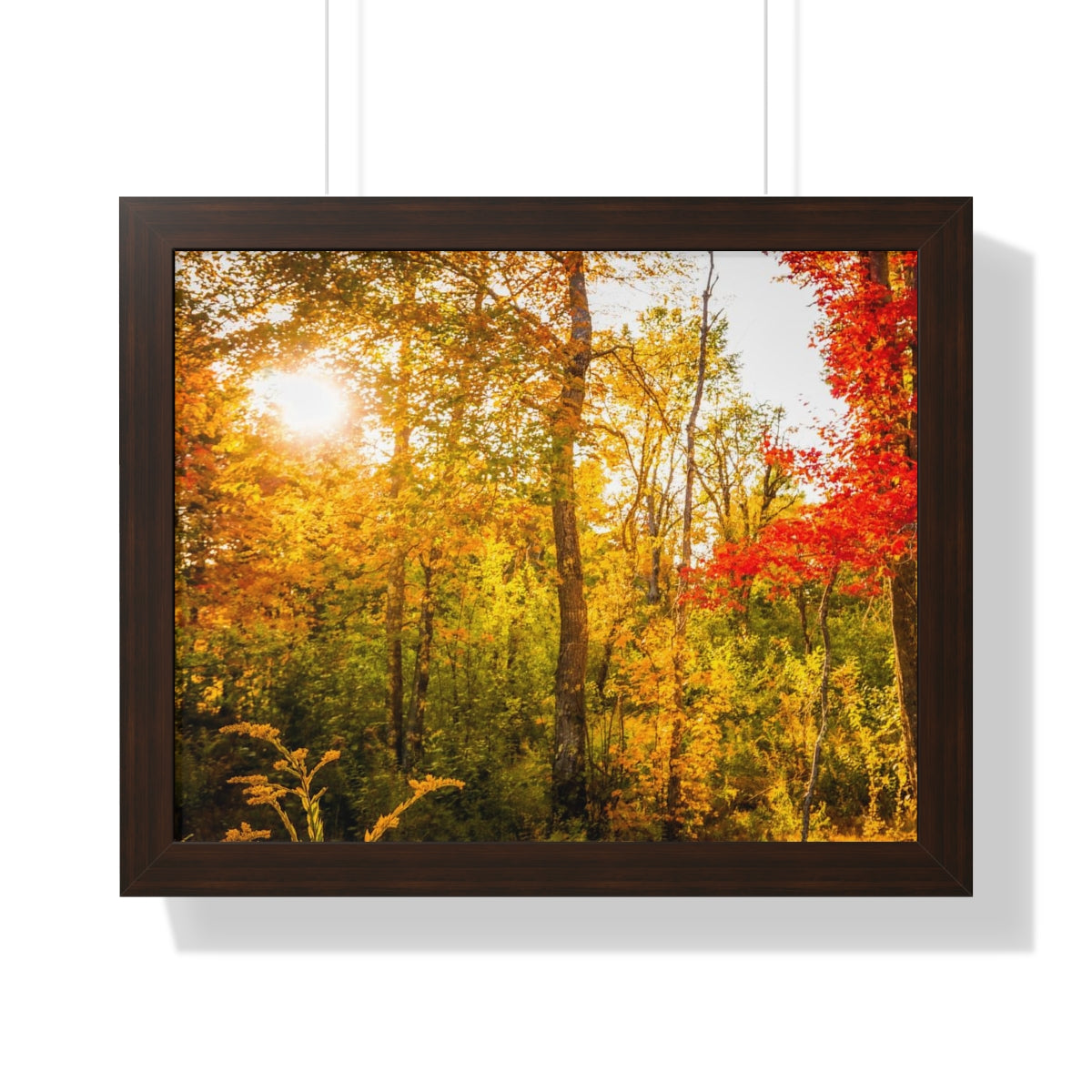 Happy Autumn Sun Framed Matte Print