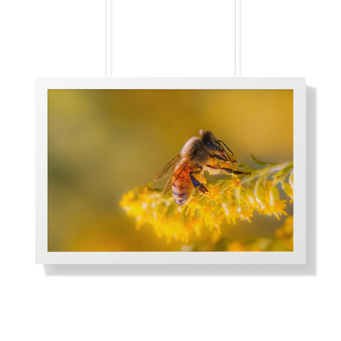 Golden Honey Bee Framed Matte Print