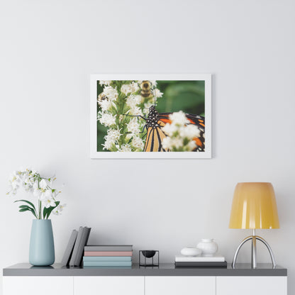 A Monarch Butterfly In Waiting Framed Matte Print