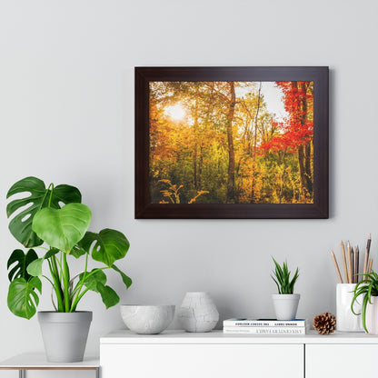 Happy Autumn Sun Framed Matte Print